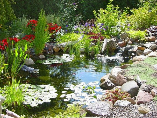 Flowing Water Among Green Trees