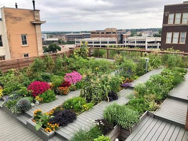 Cascading Blooms Carpet Urban Terraces
