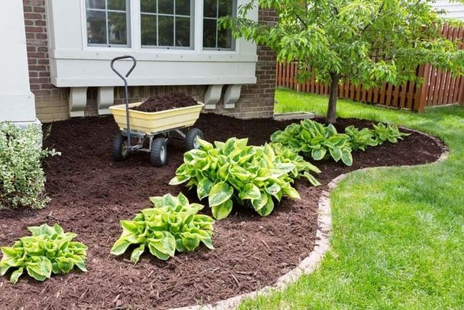 Rich Earth Mulch, Garden Definition