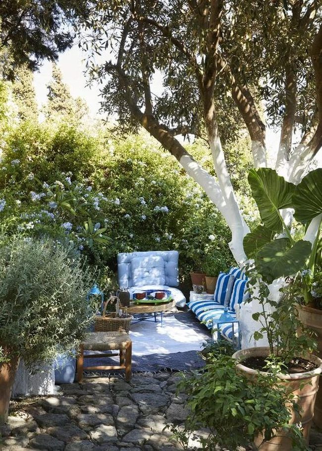 Blue Cushions Under Leafy Canopy