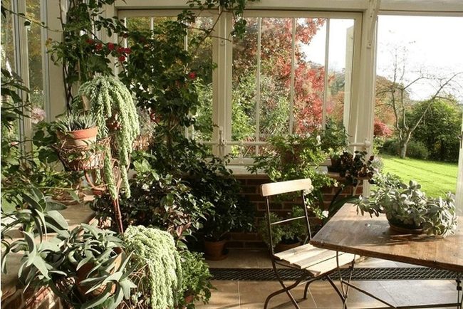 Green Plants Meet Crimson Autumn Views