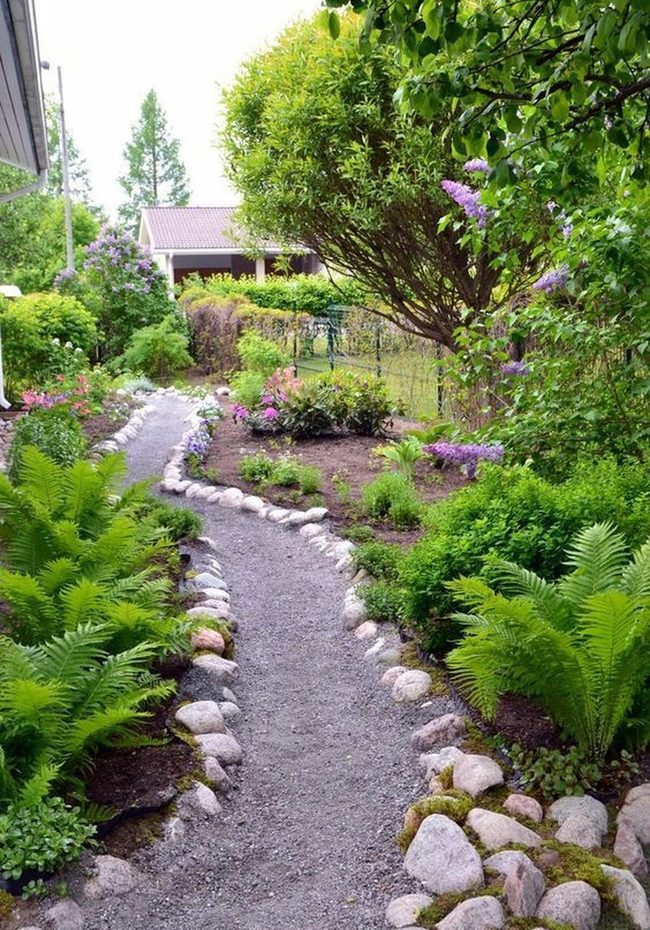 Purple Flowering Tree Garden Sanctuary
