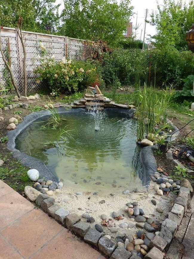 Clear Water With Native Plants