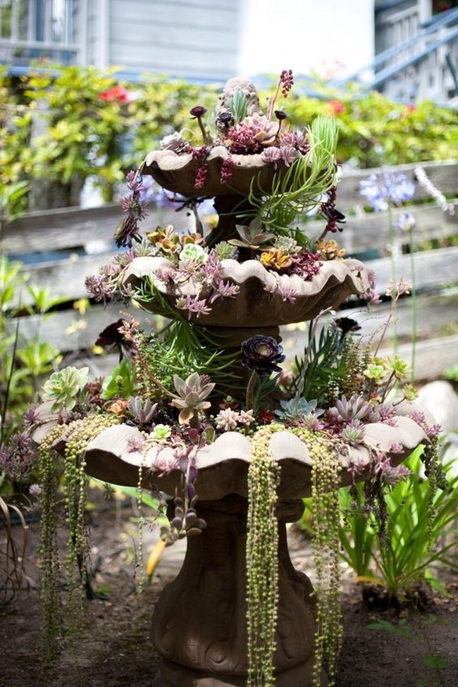 Succulent Fountain Garden Living Art