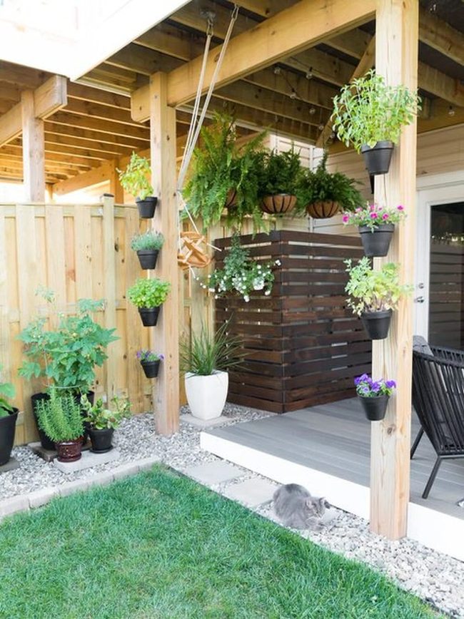 Cascading Herbs And Succulents Wall