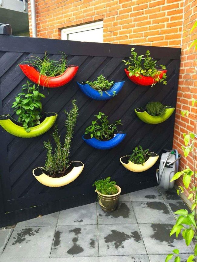 Colorful Herbs On Dark Wood
