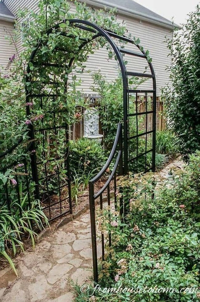 Floral Archway Through Green Silence