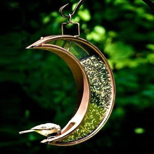 Bronze Crescent Moon Bird Feeders