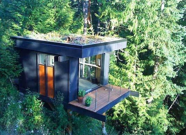 Dark Forest Cabin With Rooftop Garden