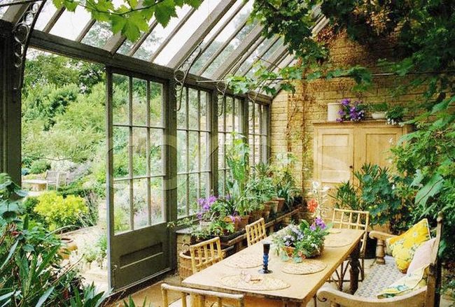 Sunlit Room With Living Plants