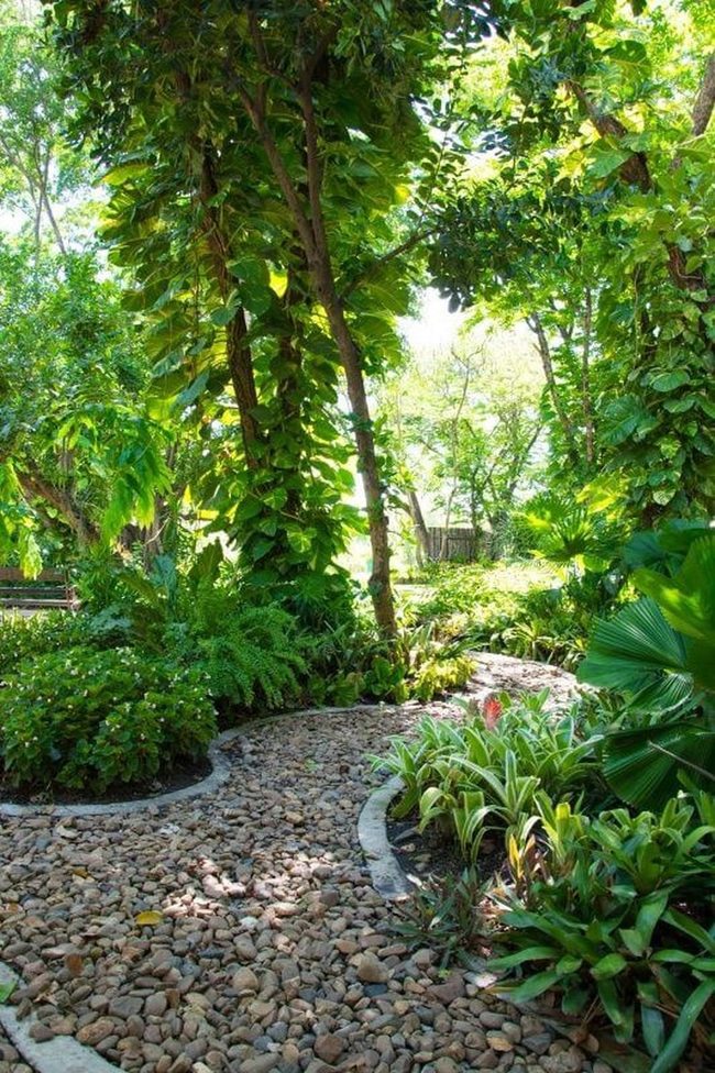 Garden Path Through Living Green
