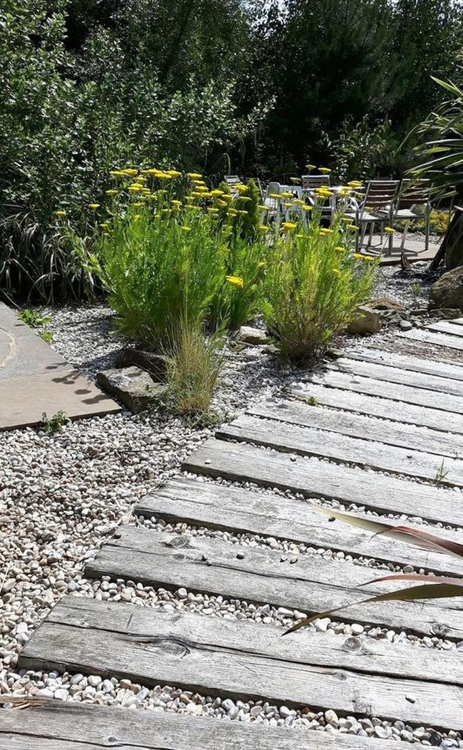 Curved Wood Path Through Yellow Garden