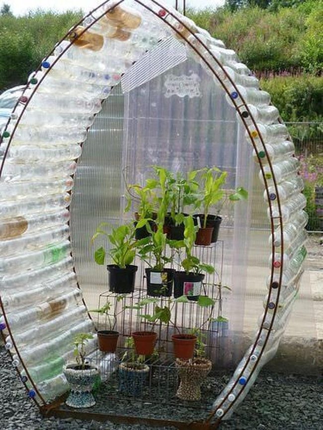 Recycled Bottles Growing Fresh Herbs