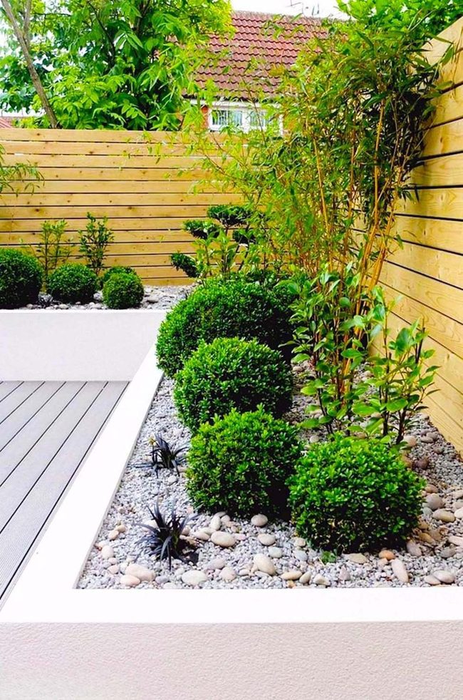 Manicured Shrubs And Wooden Fence Elegance