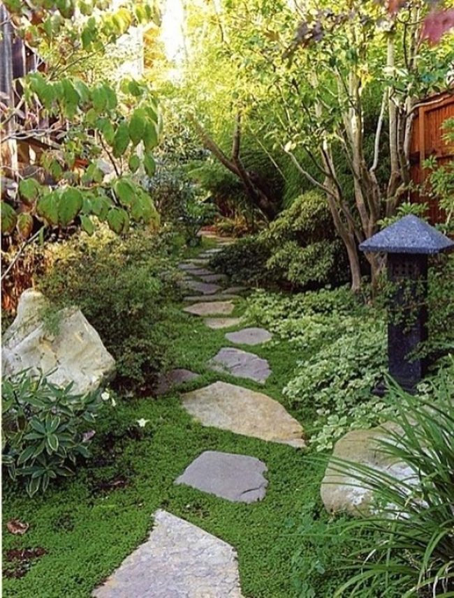Stone Paths Through Layered Green