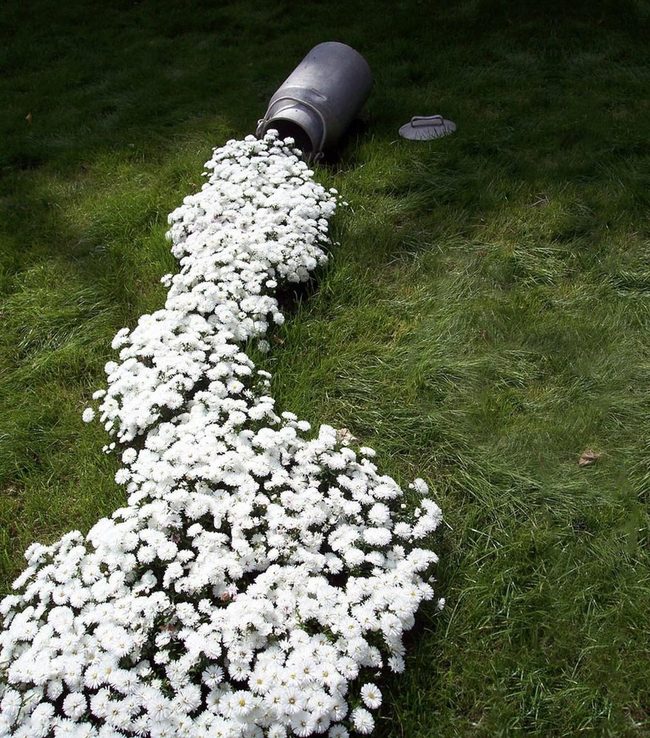 White Flowers Spilling From Tipped Pot