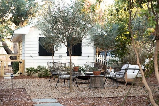 Olive Trees Green Hedge Seating