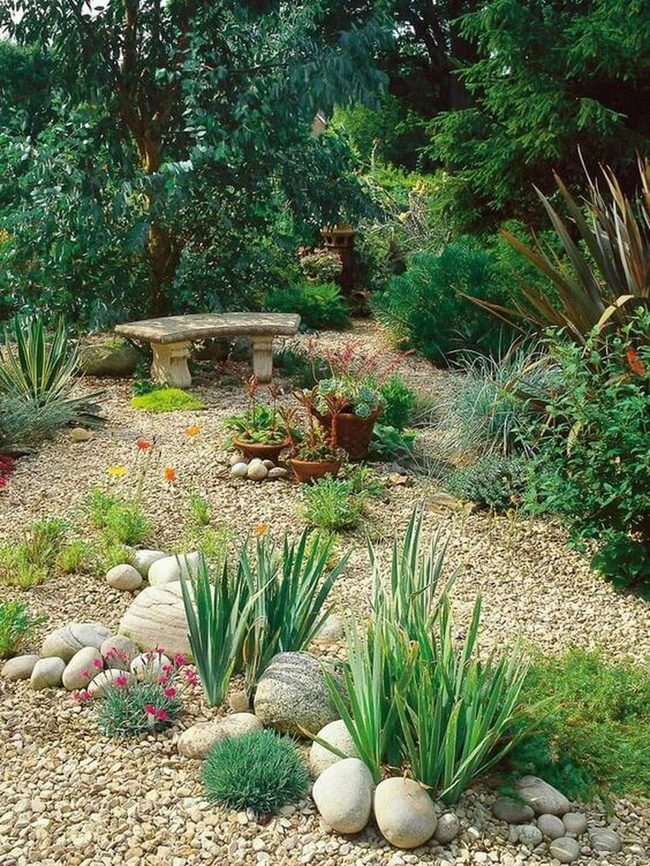 Rocky Succulent Garden With Stone Pathways
