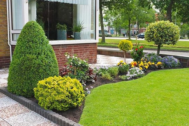 Native Plants And Stone Garden Edging
