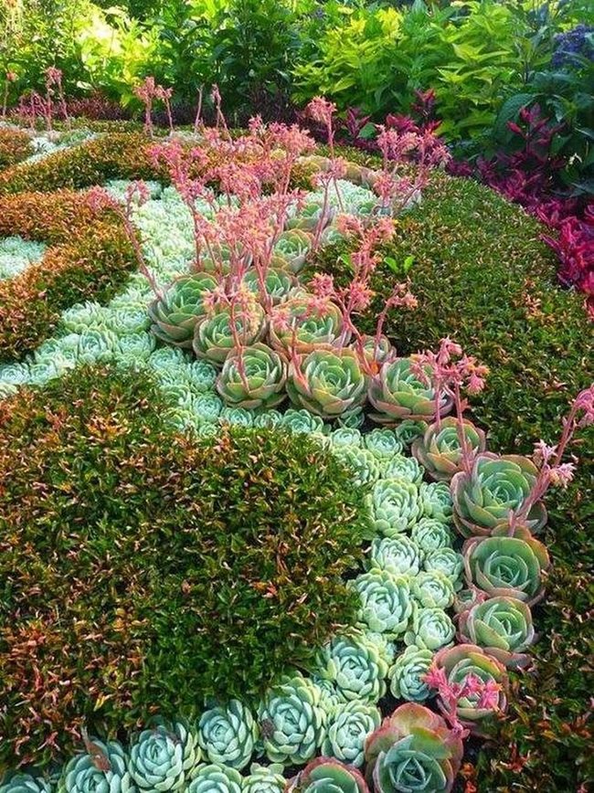 Green And Pink Succulent Garden