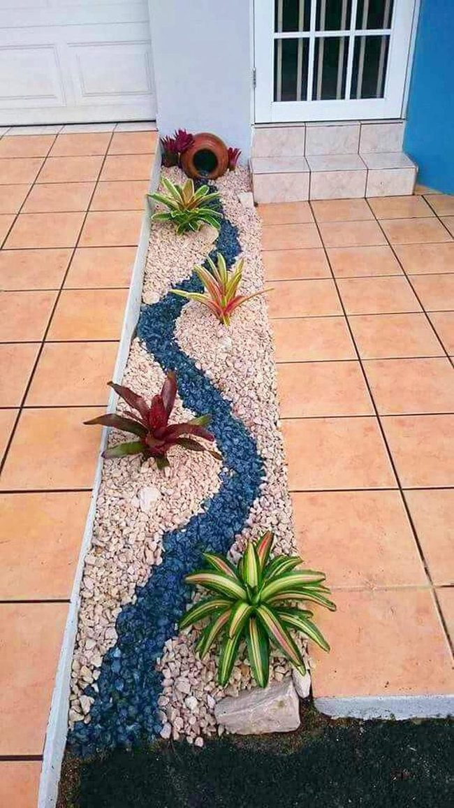 Blue Path Through Blooming Tropics