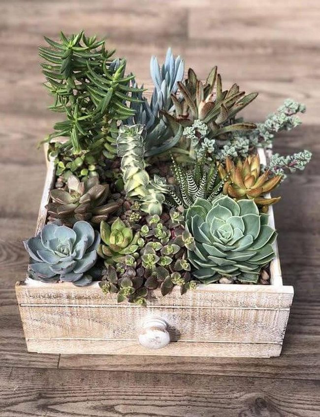 Wooden Boxes Bring Living Greenery