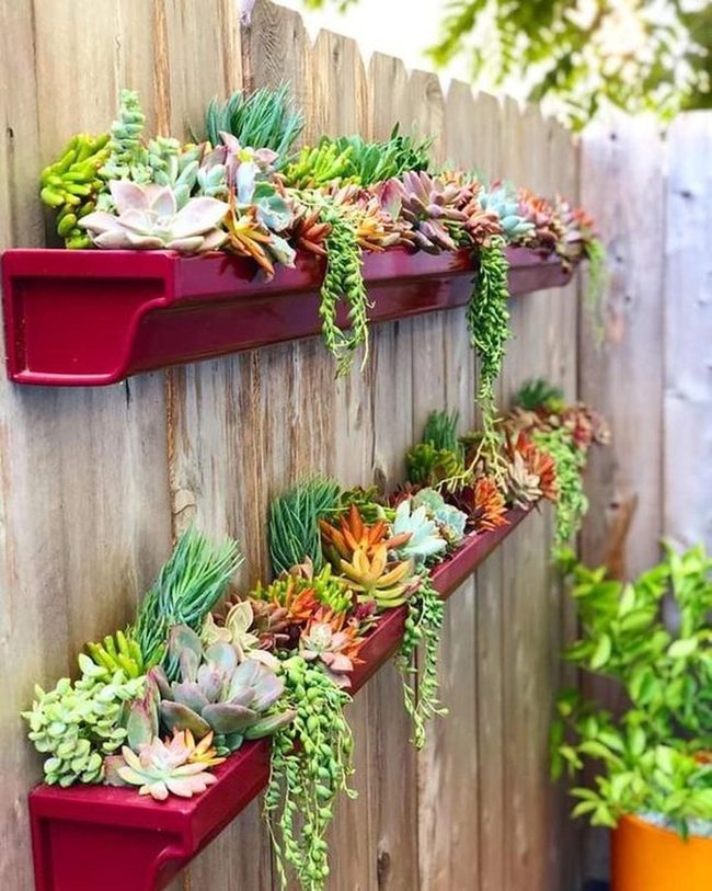 Red Shelves, Cascading Plants, Weathered Wood