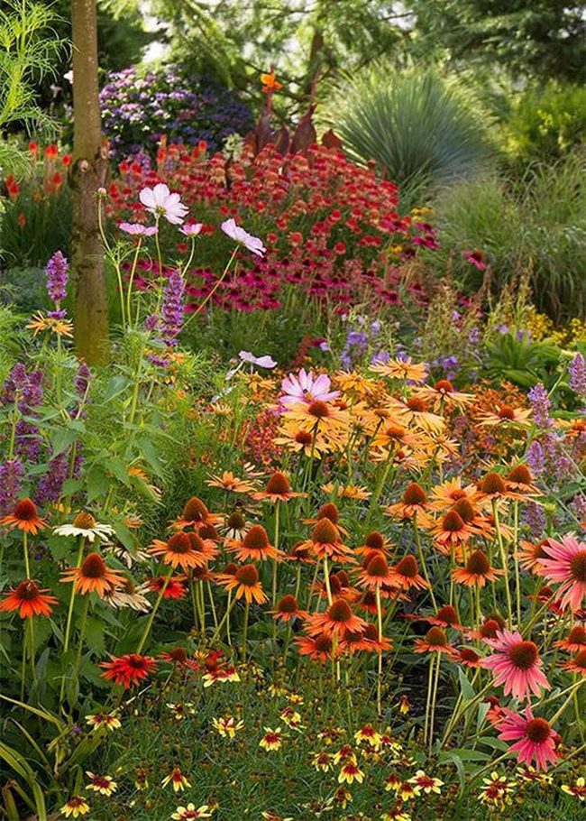Orange And Pink Blooms Layered Softly