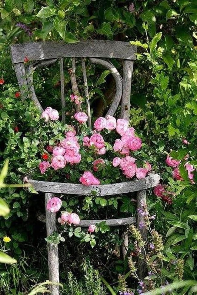 Weathered Wood Pink Roses Statement