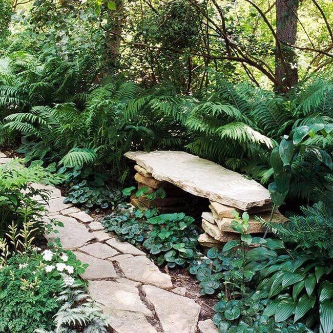 Stone Bench In Dappled Forest