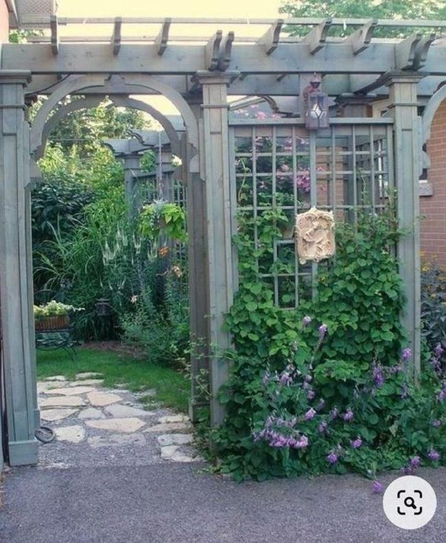 Green Vines Through Wooden Pergolas