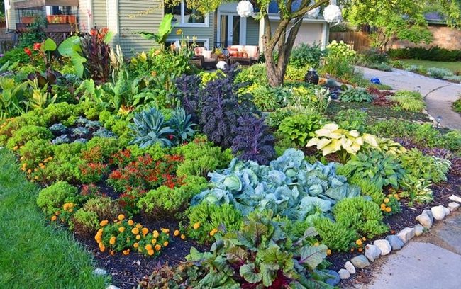 Exotic Garden Entrance With Layered Plants