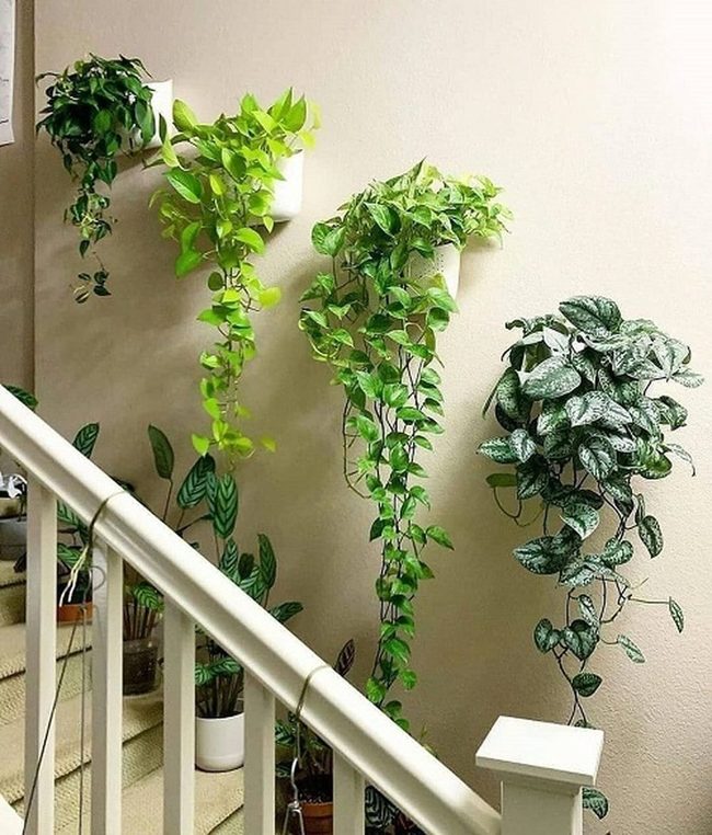 Cascading Green Staircase Walls
