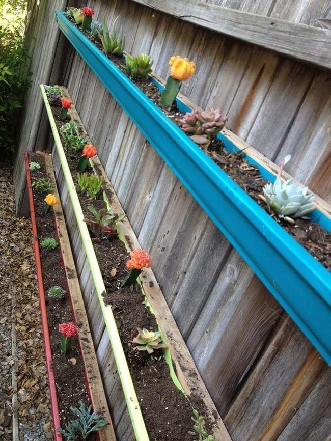 Hanging Planters Burst With Blooms