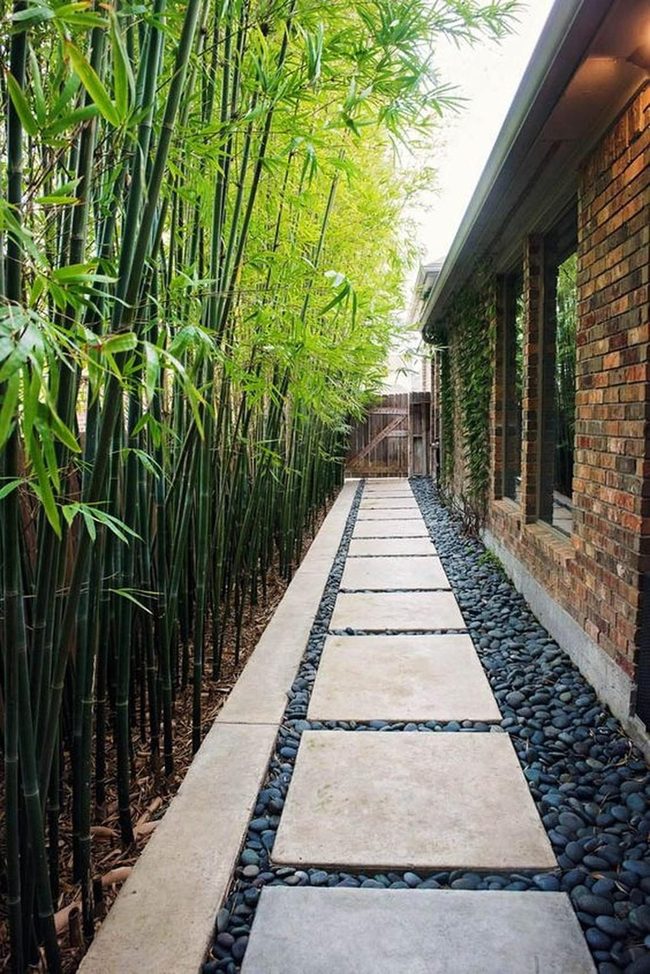 Bamboo Corridor With River Stones