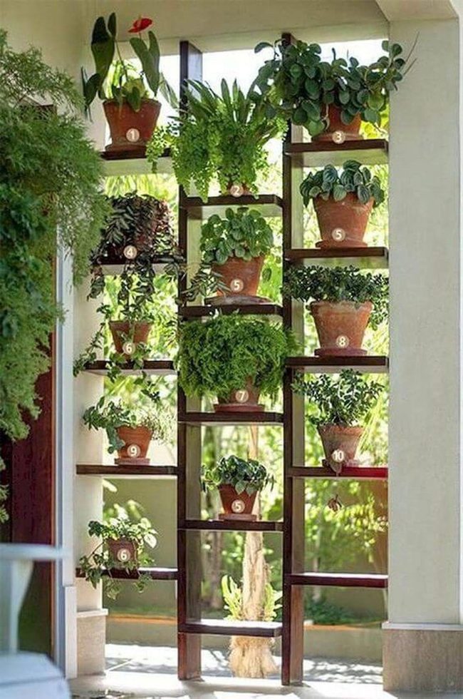 Stacked Greenery On Wooden Shelves