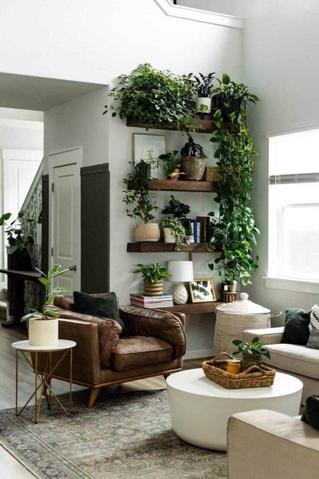 Cascading Greenery On Floating Shelves
