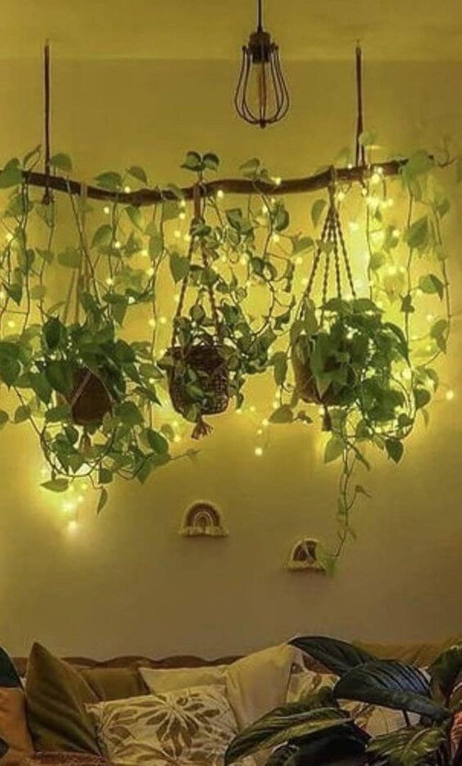 Glowing Plants On Branch