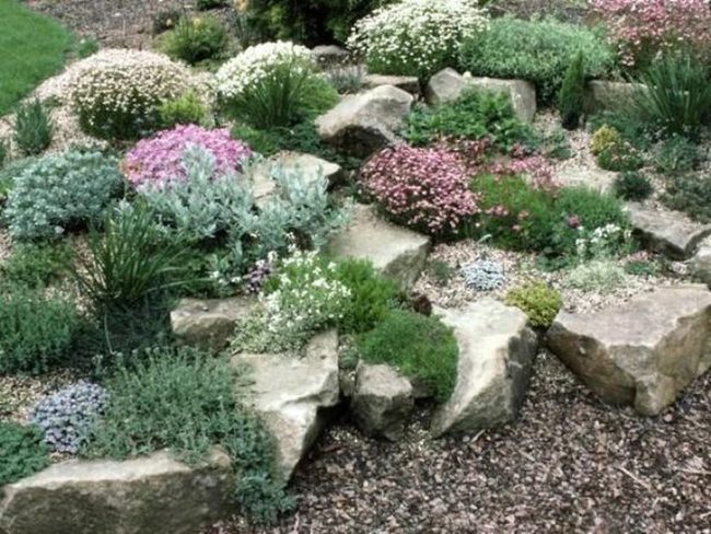 Pink Blossoms Among Lush Stone Gardens