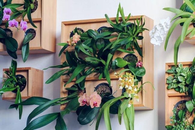 Nine Orchids Wall Garden Panels