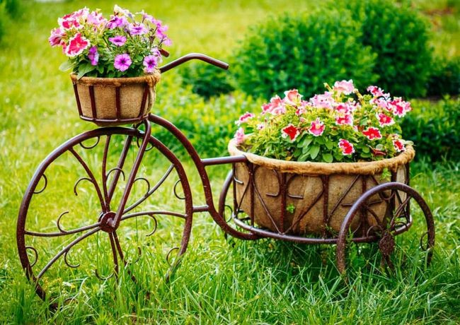Vintage Bicycle Bursting With Blooms