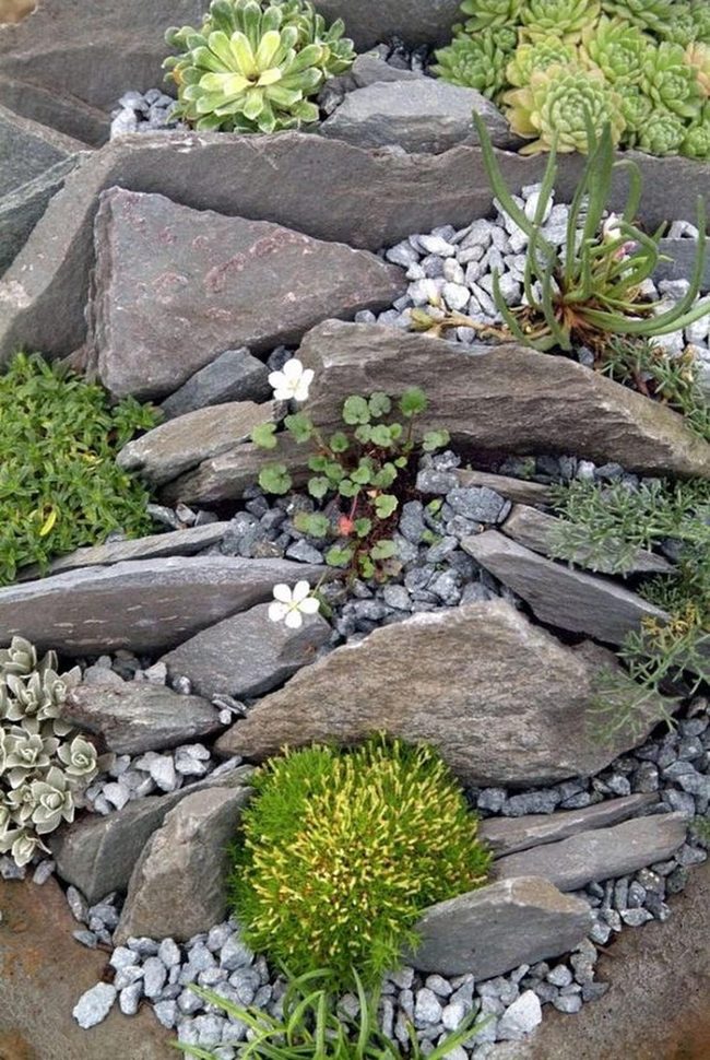 Stone Garden With Spiky Succulents