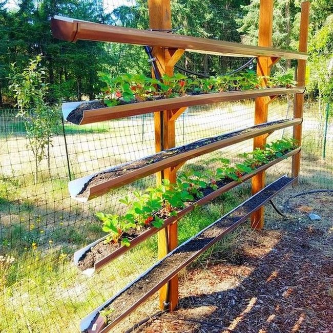 Recycled Gutters Into Vertical Gardens