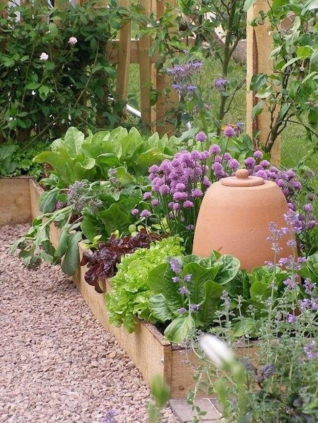 Bright Blooms Among Raised Garden Beds