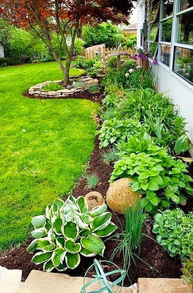 Dense Green Borders With Stone Edges
