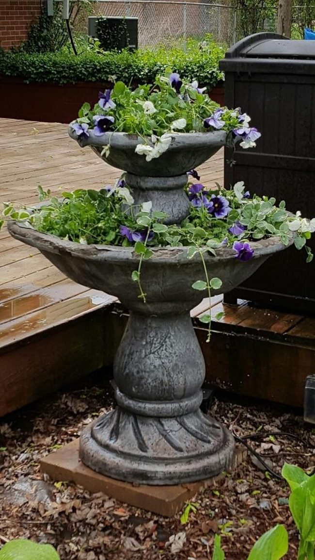 Layered Stone Planters Purple White Blooms
