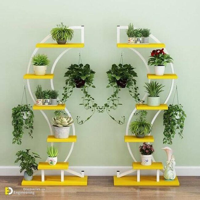 Yellow Curved Shelves Plant Display