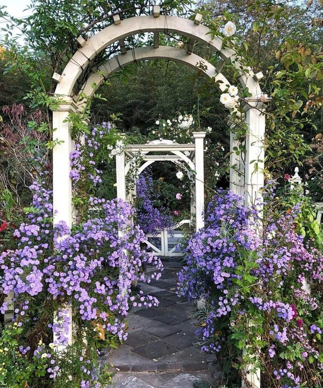 Purple Blooms Through White Archway
