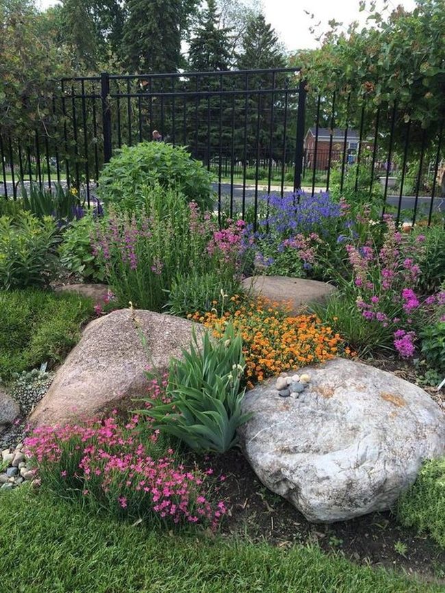 Pink And Purple Flower Garden