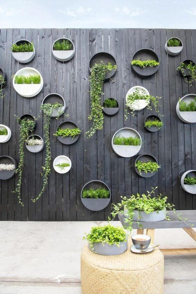 Dark Wood Vertical Herb Garden